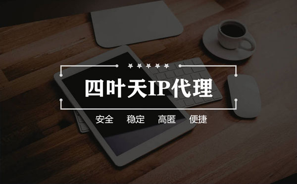 【南平代理IP】如何快速搭建代理IP？怎么检查代理的效果？